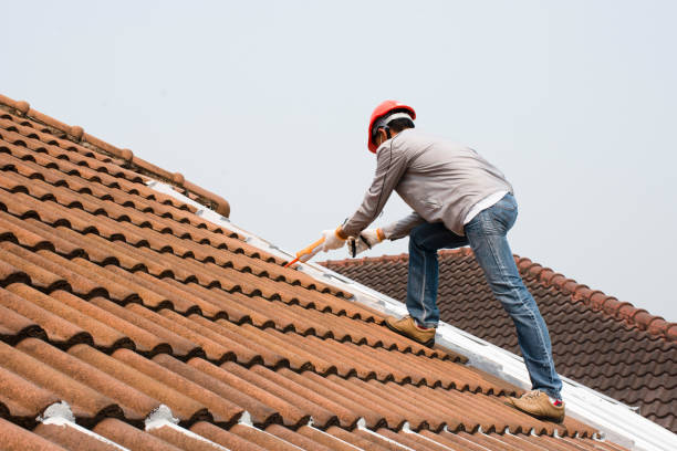 Steel Roofing in Appleton, MN