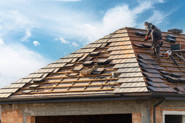 Best Metal Roofing Installation  in Appleton, MN