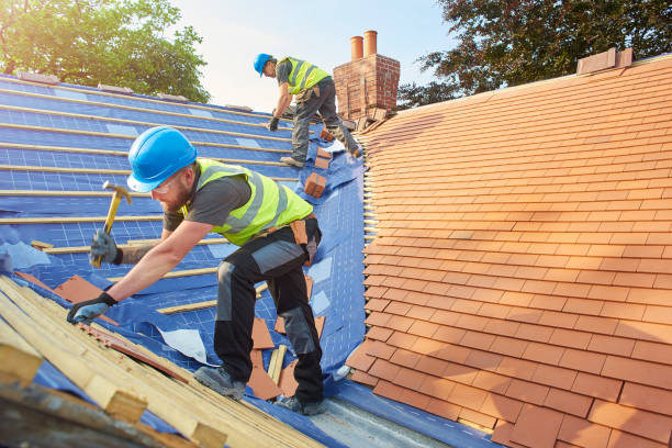 Best Commercial Roofing Services  in Appleton, MN